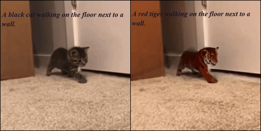 Cat to tiger/leopard in grass variation 1